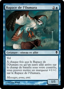 Rapace de l'Oumara