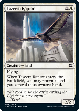 Rapace de Tazeem