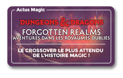 Article aperçu de Dungeons & Dragons : Forgotten Realms