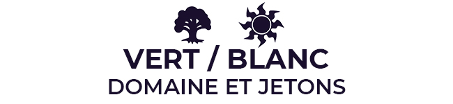 Blanc / Vert : Domaine et Jetons