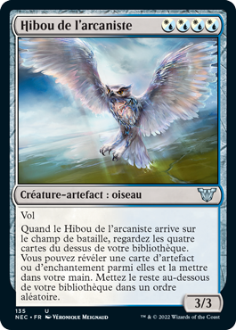 Hibou de l'arcaniste