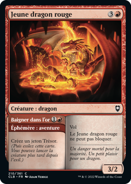 Jeune dragon rouge