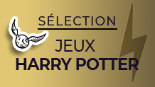 Notre Top des meilleurs jeux de société Harry Potter - Playin by