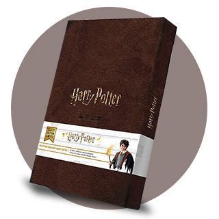 Coffret Collector Cartes Harry Potter
