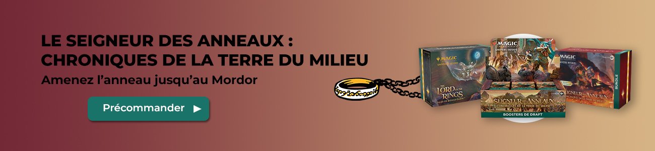 BannièreSeigneur des Anneaux