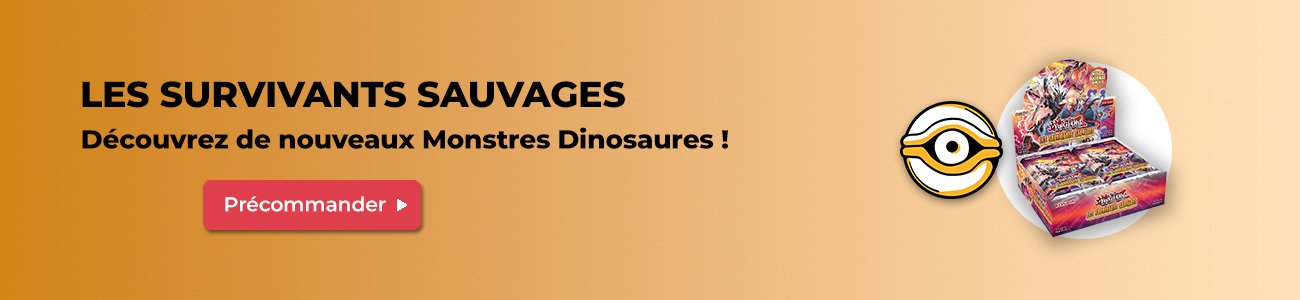 Bannière Yu-Gi-Oh! Les Survivants Sauvages
