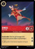 Dingo - Tête brulée