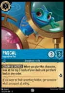 Pascal - Animal de compagnie curieux