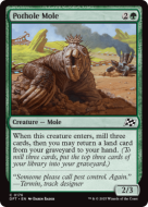 Taupe de nid de poule