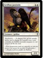 Griffon juvénile