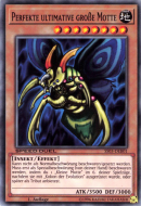 Grand Moth Ultimement Parfait