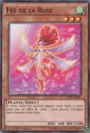 Fée de la Rose