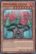 Ermitarbre Sylvan