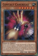 Contact Cancrelat