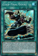 Coup Final Gouki