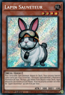 Lapin Sauveteur