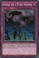 Appel de l'Être Hanté