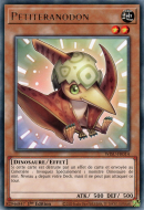 Petiteranodon