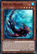 Requin Drakon