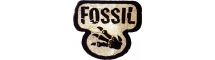 Fossil