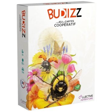 budizz jeu collective adventure boite 