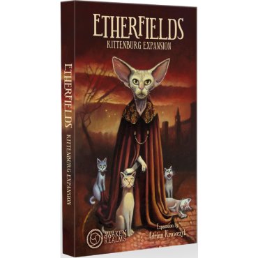 etherfields extension kittenburg boite de jeu 