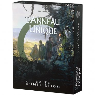 lanneau unique boite dinitiation boite de jeu 