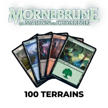 mornebrune 100 terrains 