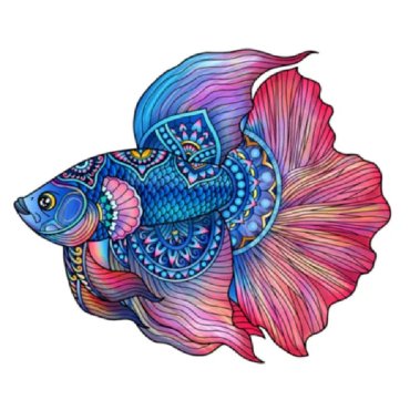 puzzle rainbowooden poisson modele 