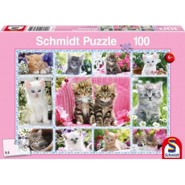 puzzle schmidt 100 pieces chatons 