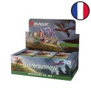 Boite de 36 boosters de jeu Bloomburrow - Magic FR