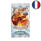 Booster Vision de l'Avenir FR