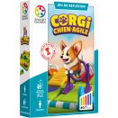 Corgi Chien Agile