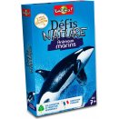 Défis Nature - Animaux Marins