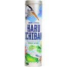 Haru Ichiban - Édition 2025
