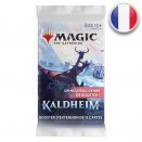 Booster d'extension Kaldheim - Magic FR