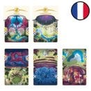 Lot des 5 cartes Aventure Murmures du Labyrinthe - Altered FR