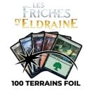 Lot de 100 terrains de base Foils Les friches d'Eldraine - Magic