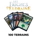 Lot de 100 terrains de base Les friches d'Eldraine - Magic