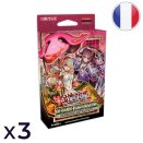 Lot de 3 Decks de Structure : Attention aux Traptrix - Yu-Gi-Oh! FR