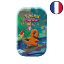 Pokémon - Mini Tin Amis de Kanto - Salamèche - Pokémon FR