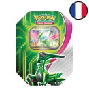 Pokébox Mai 2024 Vert-de-Fer-ex - Pokémon FR