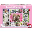 Puzzle 100 pièces - Chatons