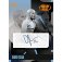 5d8f63c6ced3a1bbb920f1e0cc5160f4f1b32be1_mct2_db1_topps_manchester_city_teamset_packaging_box_3d_1 