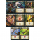 hr_realms_carte archer.png