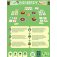 bidibirdy jeu kiwizou boite de jeu 
