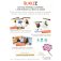 budizz jeu collective adventure boite 