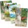 foret mixte extension exploration jeu lookout boite de jeu 