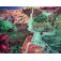 mon puzzle aventure voyage en terre ocre jeu gameflow boite de jeu 