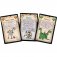 munchkin extension 9 jurassique farce jeu edge boite 